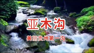 如何在网上查征信